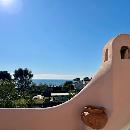 Paradise Palmera