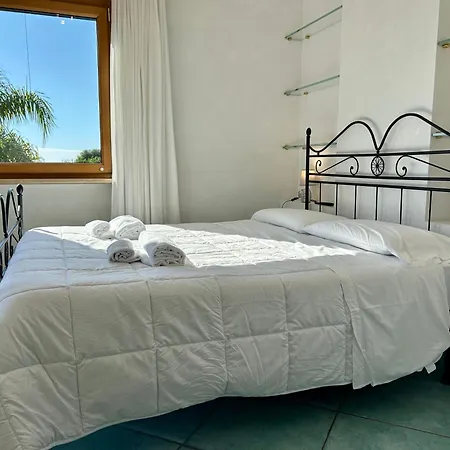 Paradise Palmera *