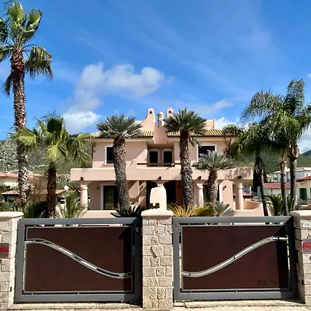 Guest house Paradise Palmera